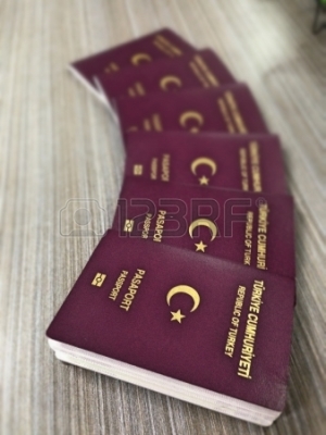 فيزا تركيا / التاشيرة التركية